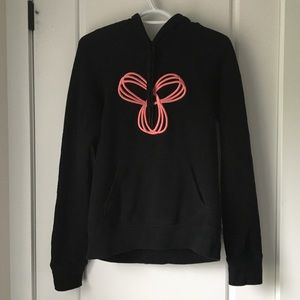 Aritzia Baltic Hoodie